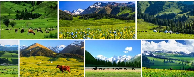 独库公路开通了,租车自驾旅行看美丽风景