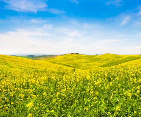 2021年如何做网站建设